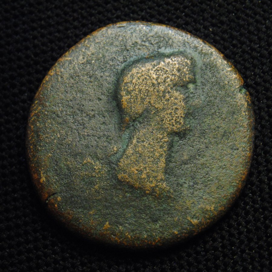 Æ31--Augustus-?-Tiberius-?-Caligula-?-Germanicus-?-Claudius-?-Antonia-?